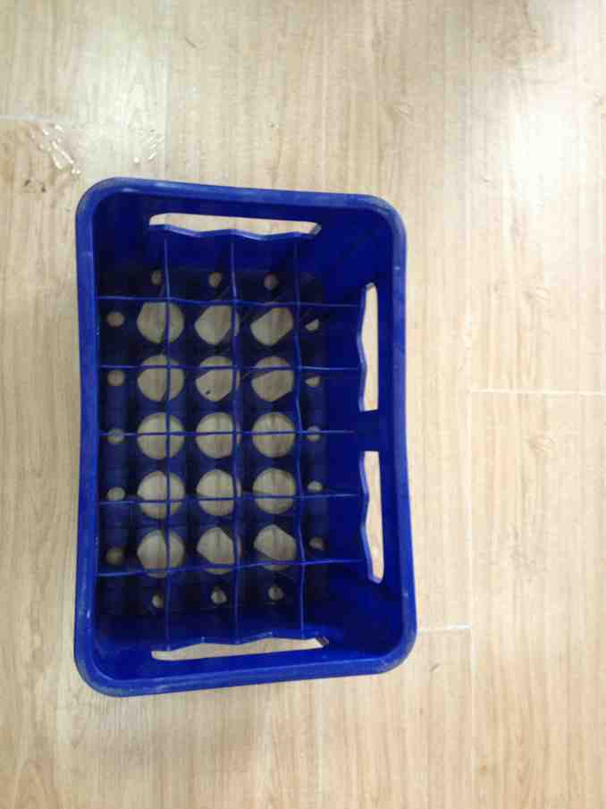 Plastic beer bottle crate HH-250 (24*330ML)
