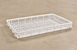 1# plastic tray for freeze