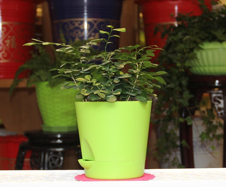 plastic flower pots lvluo