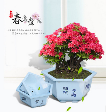 plastic flower pots China stytle 