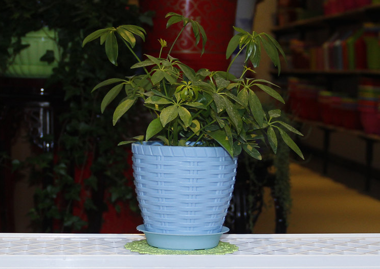 plastic flower pot willow woven