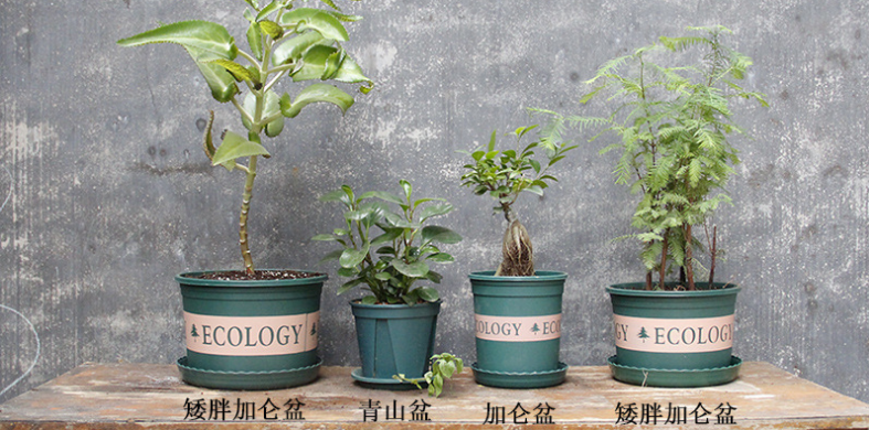 Gallon pot plastic flower pot